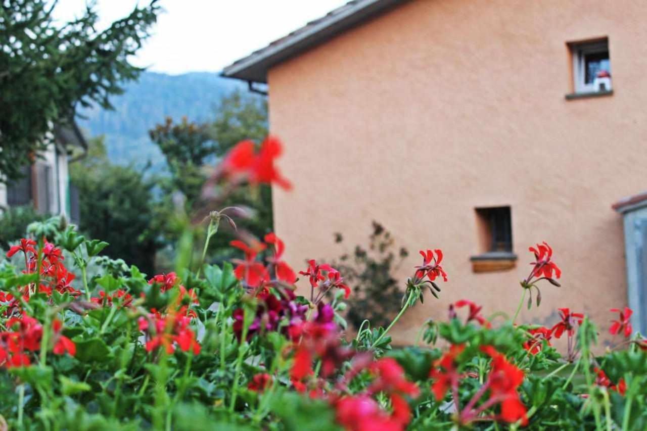 Turisme Rural El Janpere Apartamento Sant Joan de les Abadesses Exterior foto